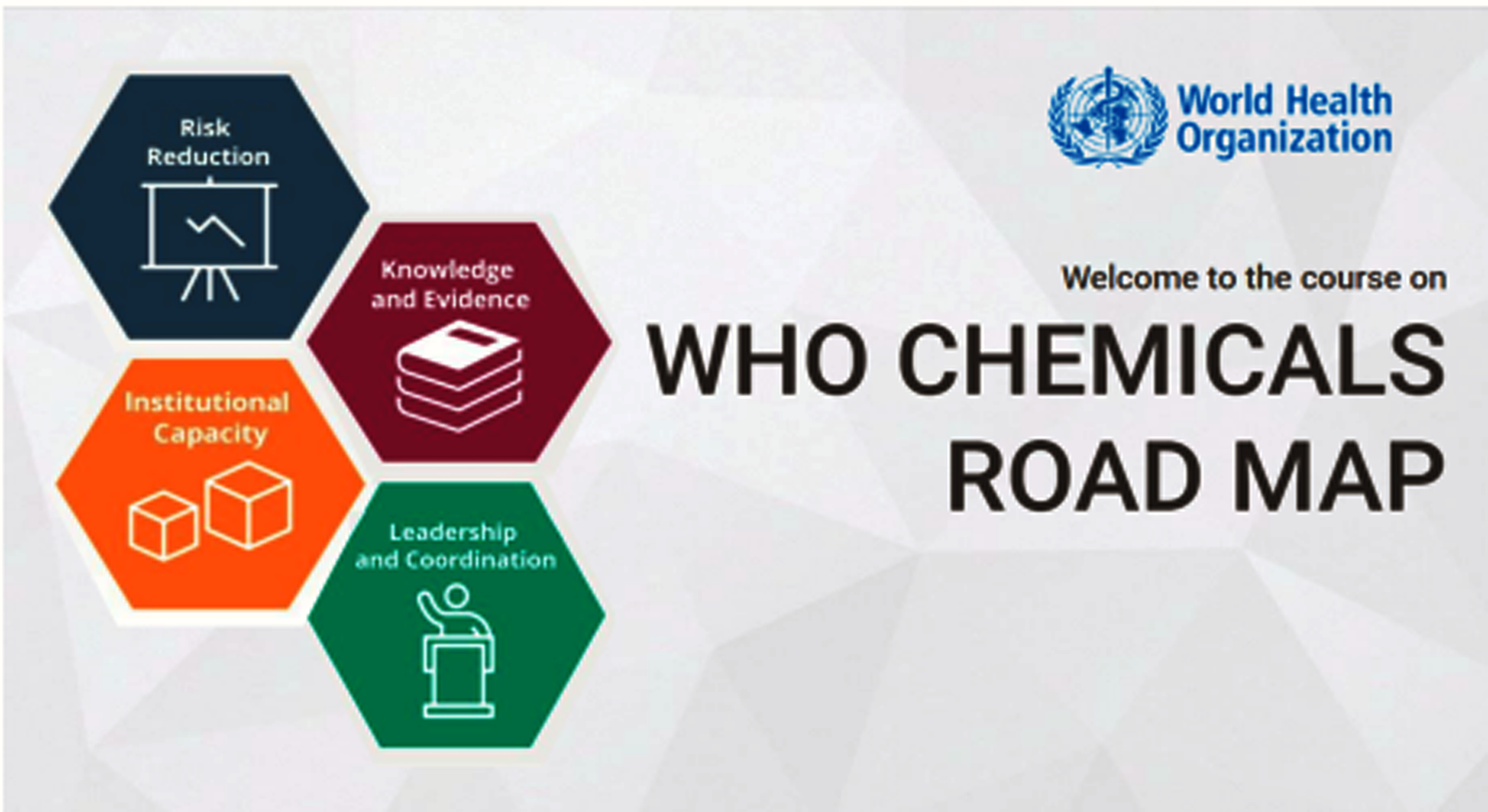 Chemicals Road Map online course