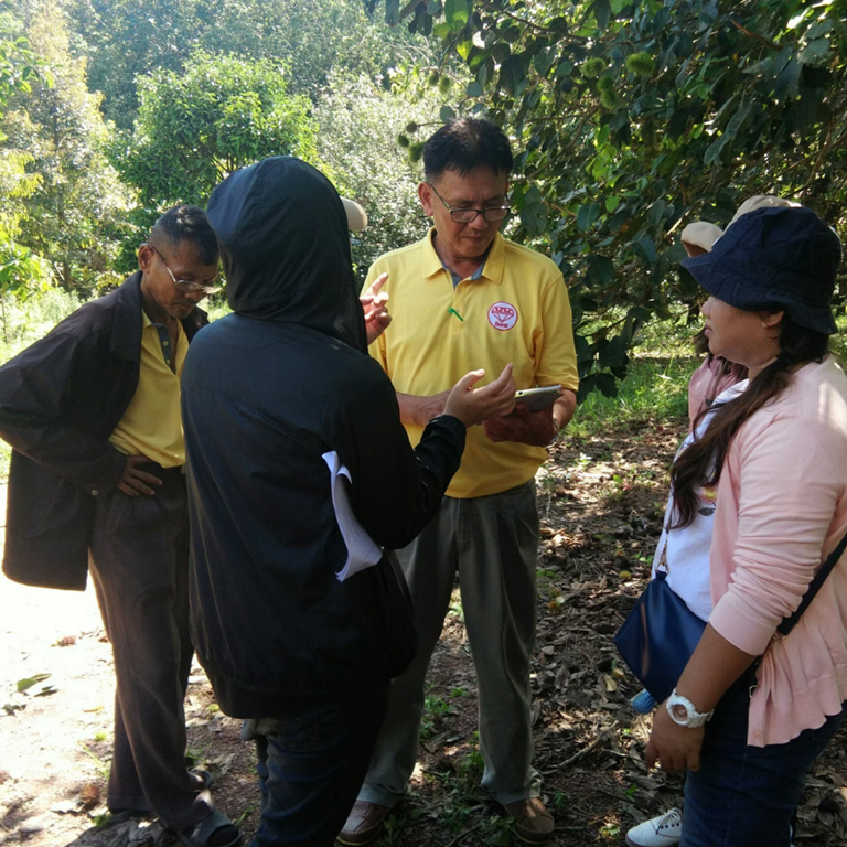 Visual representation of the data story