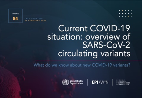 Update 84: Current COVID-19 situation: overview of SARS-CoV-2 circulating variants
