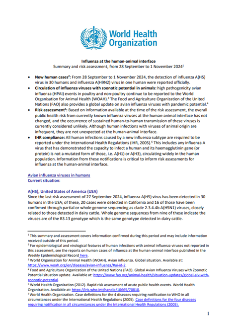 Influenza at the human-animal interface summary and assessment, 1 November 2024