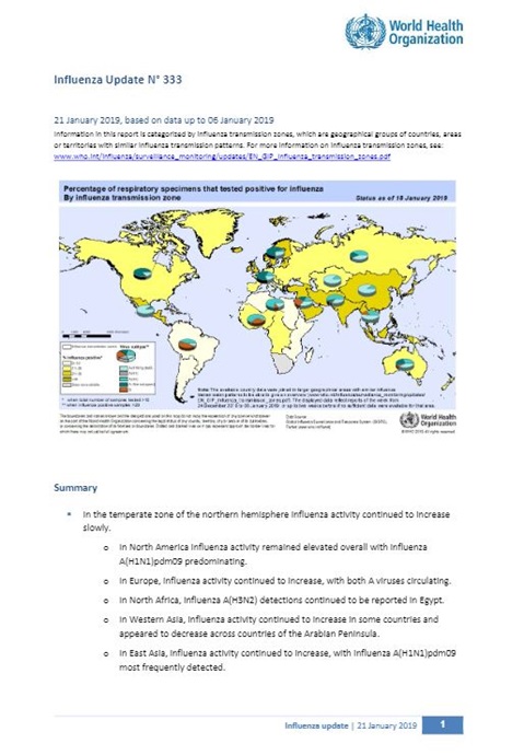 Influenza Update N° 333