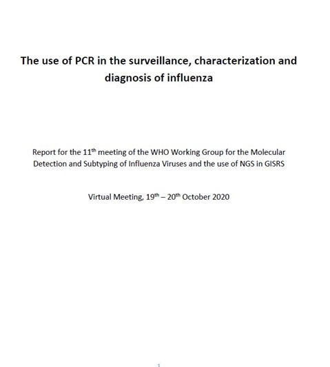 Report of the 11th meeting of the WHO Working Group for the Molecular Detection and Subtyping of Influenza Viruses and the use of NGS in GISRS