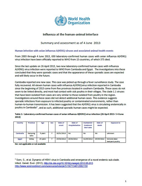 Influenza at the human-animal interface summary and assessment, 4 June 2013