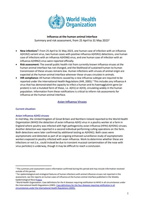 Influenza at the human-animal interface summary and assessment, 31 May 2023