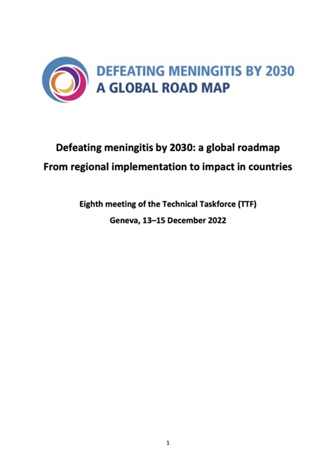 Defeating Meningitis by 2030: Eighth meeting of the Technical Taskforce (TTF)