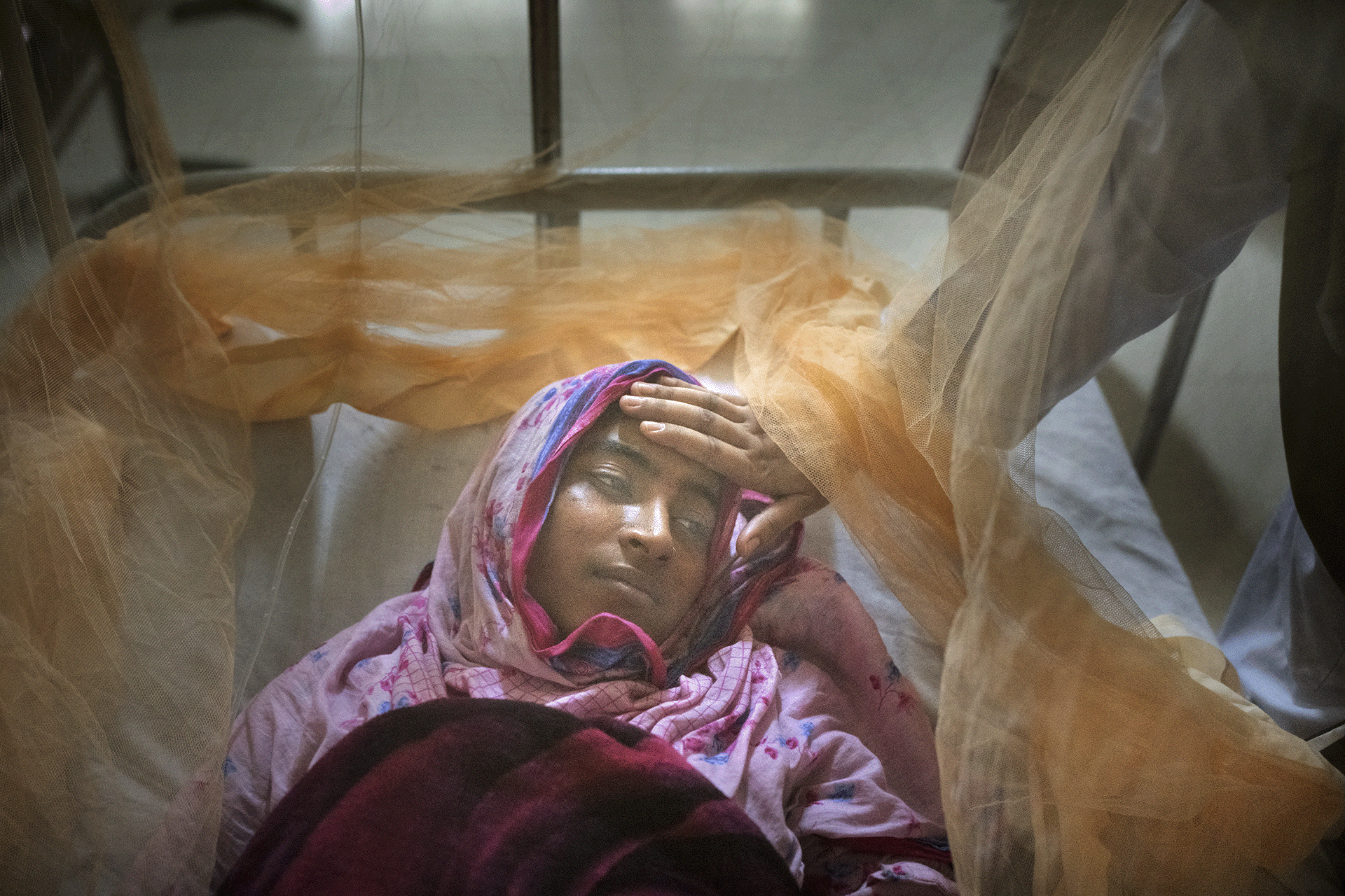 Bangladesh: Dengue outbreak and response - September/October 2023