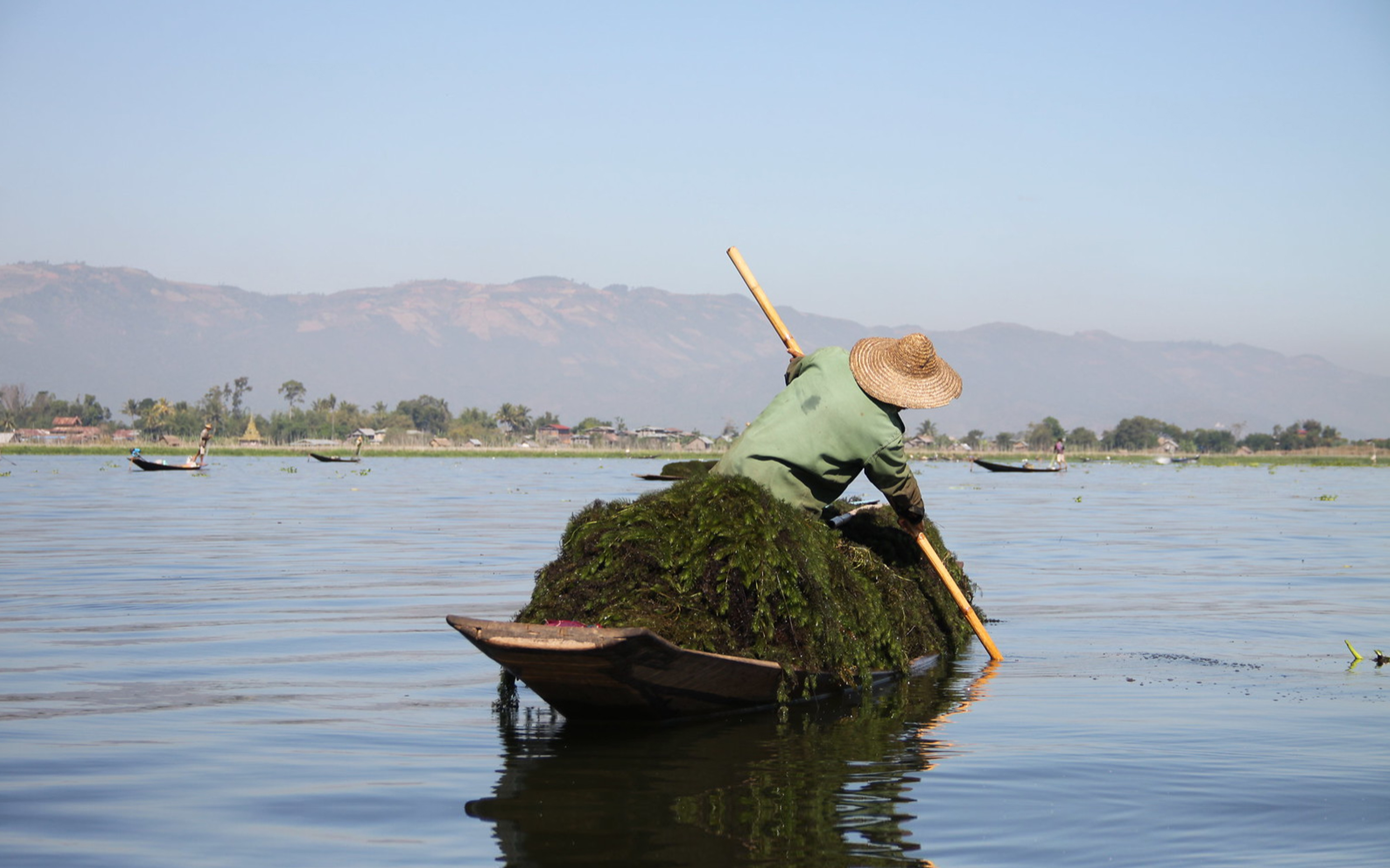 80_44062794_73016663_n