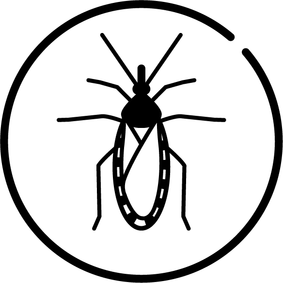 WHO NTD emblem