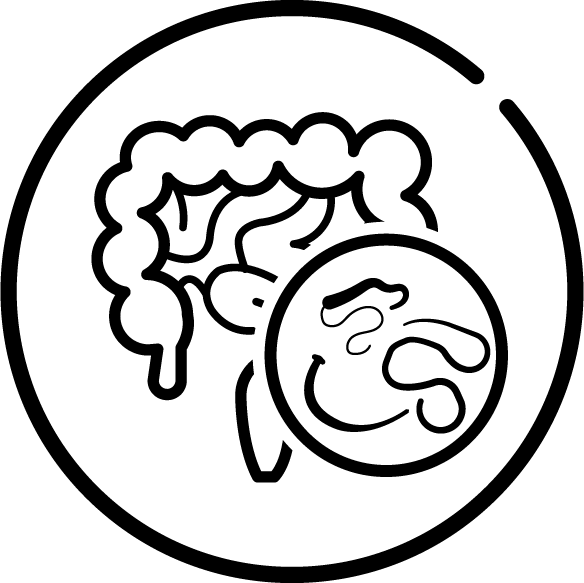 Soi