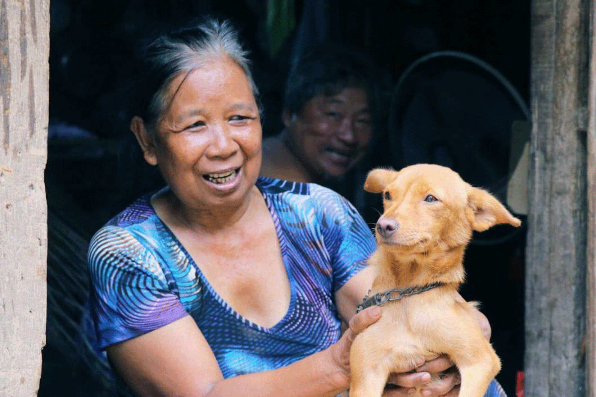 One Health in practice: towards effective and feasible rabies elimination in Cambodia