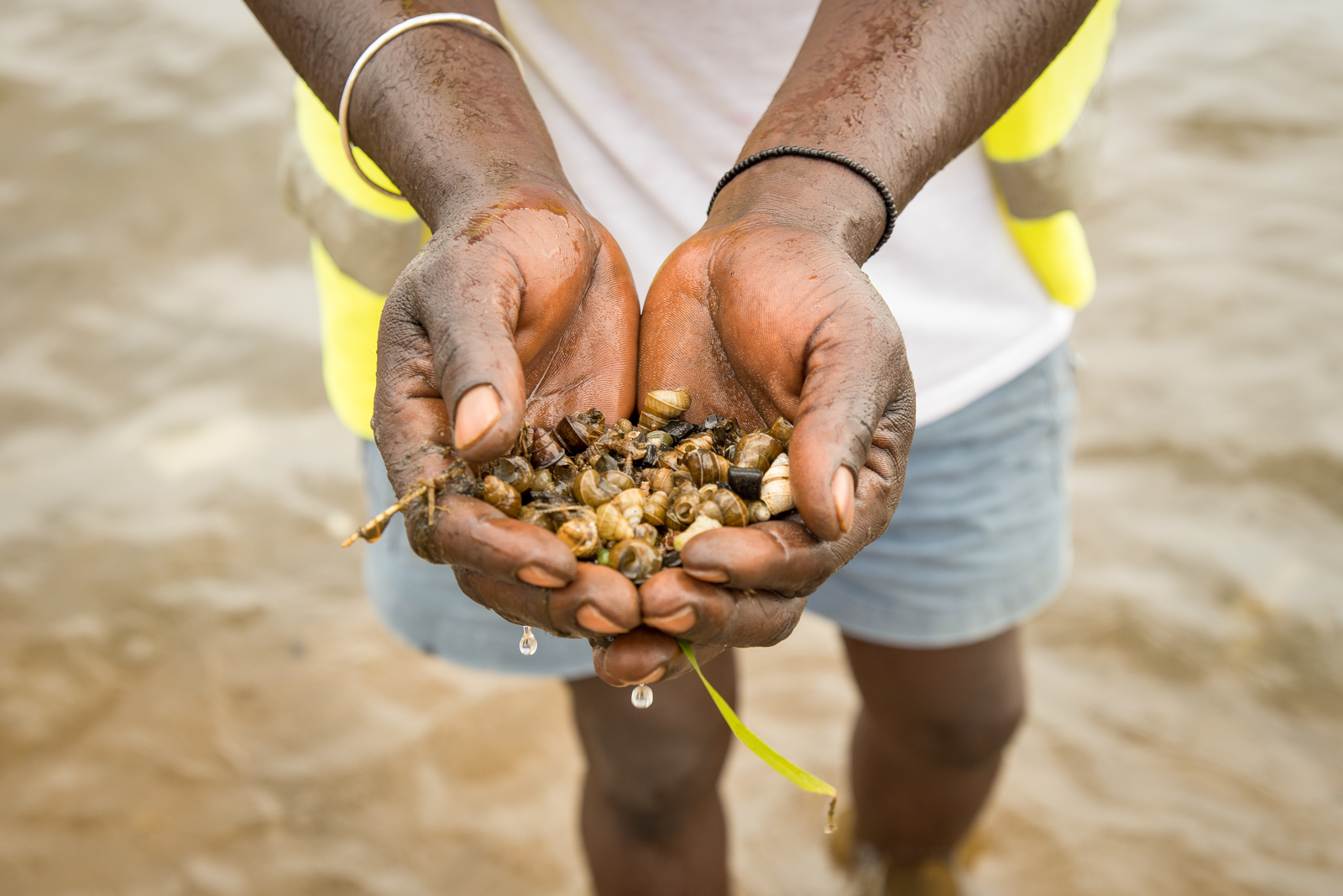 38865402635_19bd798c42_o