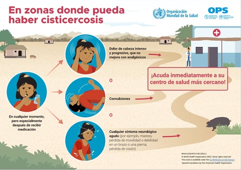 En zonas donde pueda presentarse cisticercosis