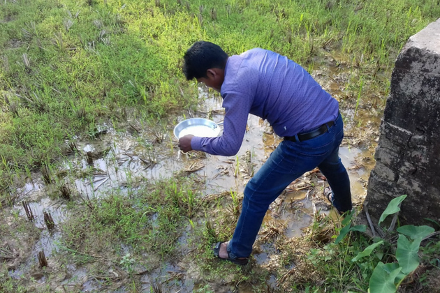 malaria-rohingya-2