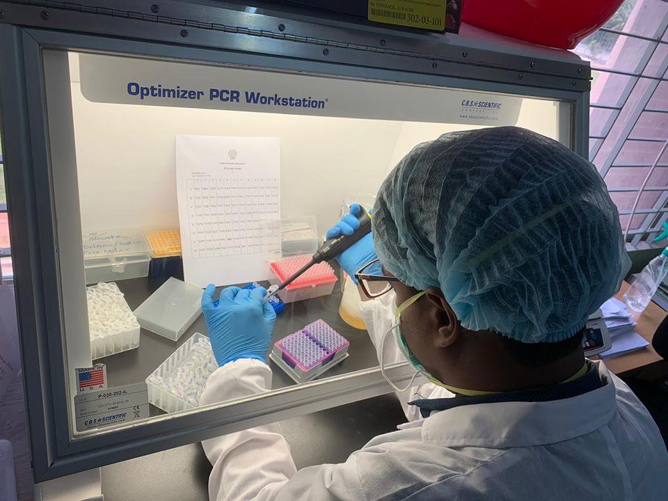 lab