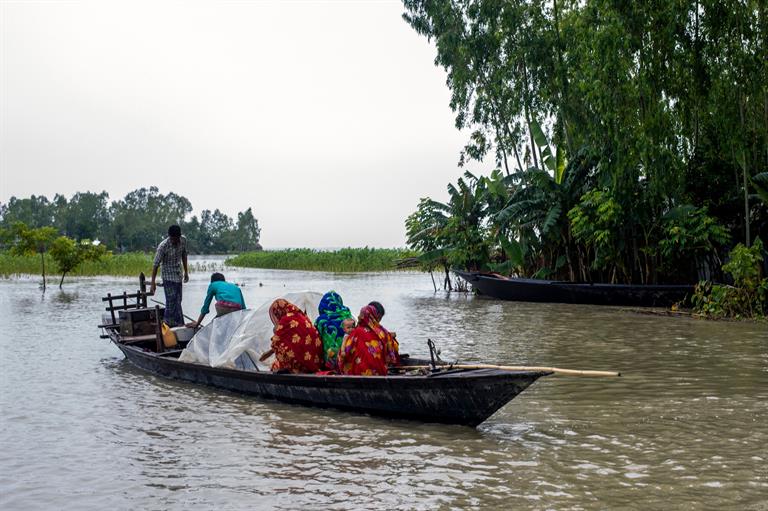 WHO - Kurigram (47) S