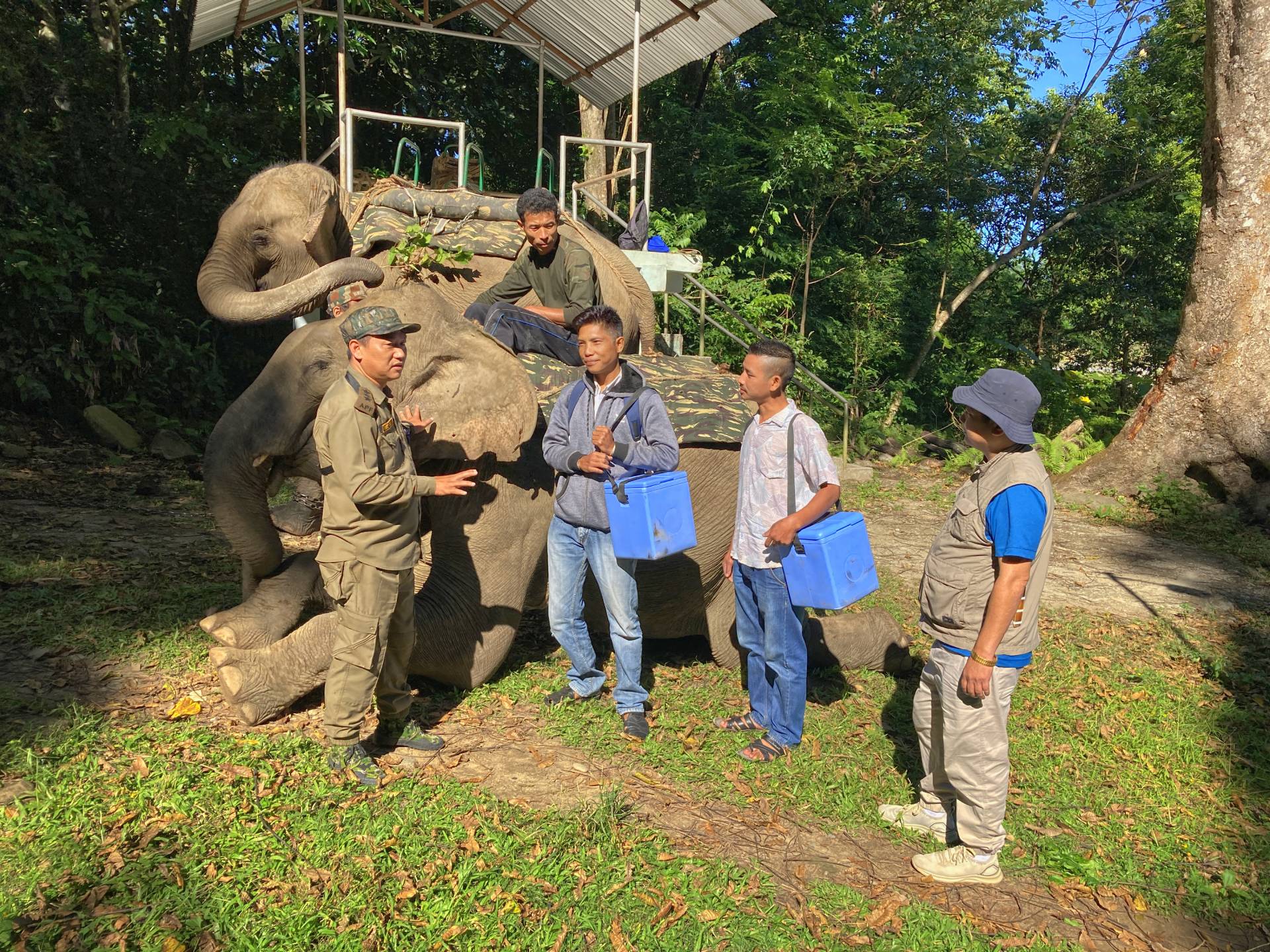 elephant vaccinators