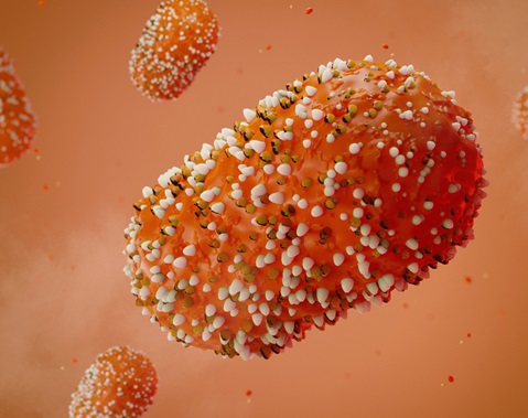 Update 79: Monkeypox outbreak update: Situation - transmission - countermeasures