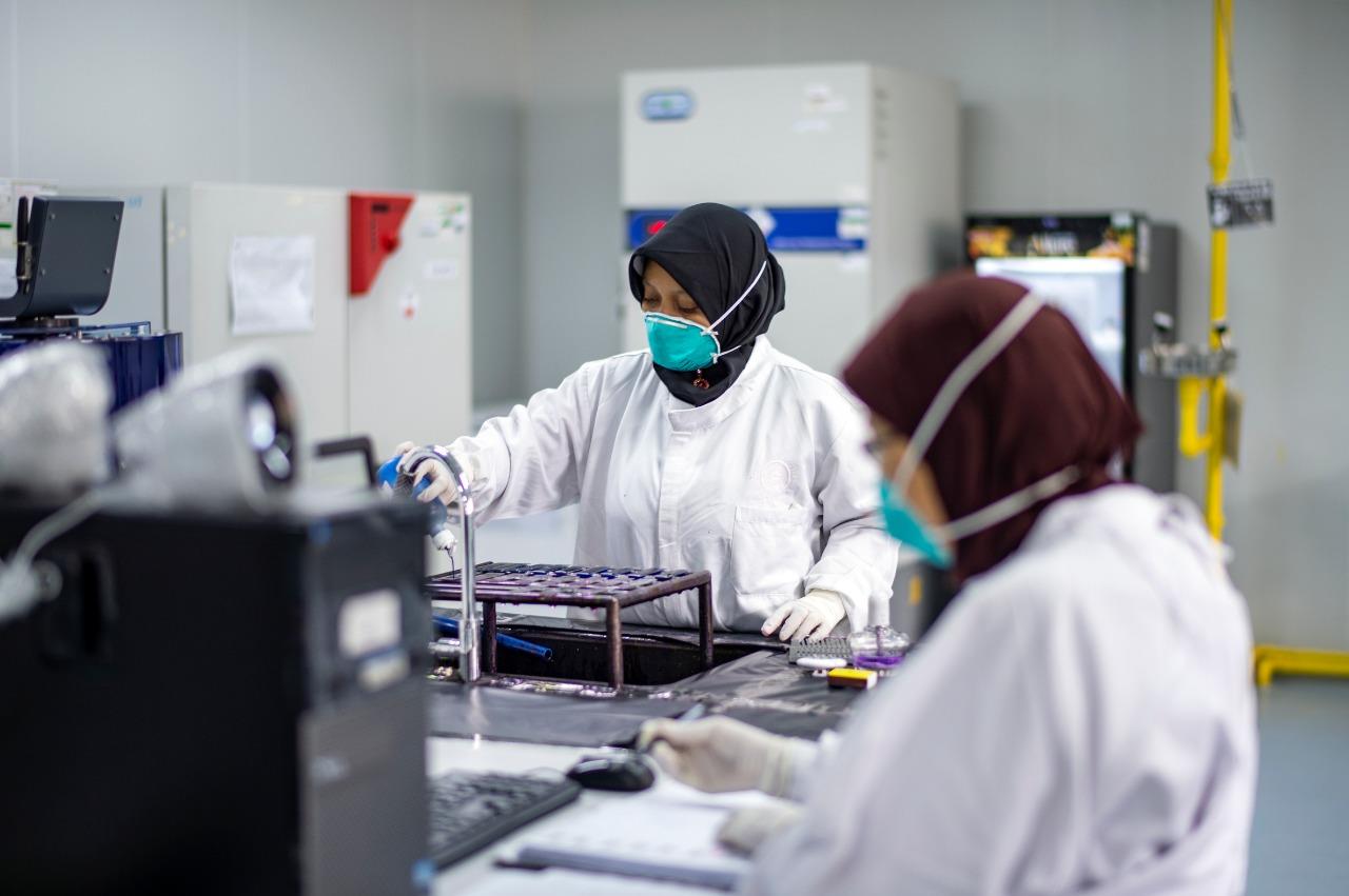 Laboratory workers Staff work in a laboratory
