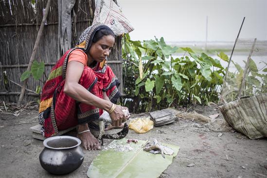 malnutrition_India_F_Lang_resized2