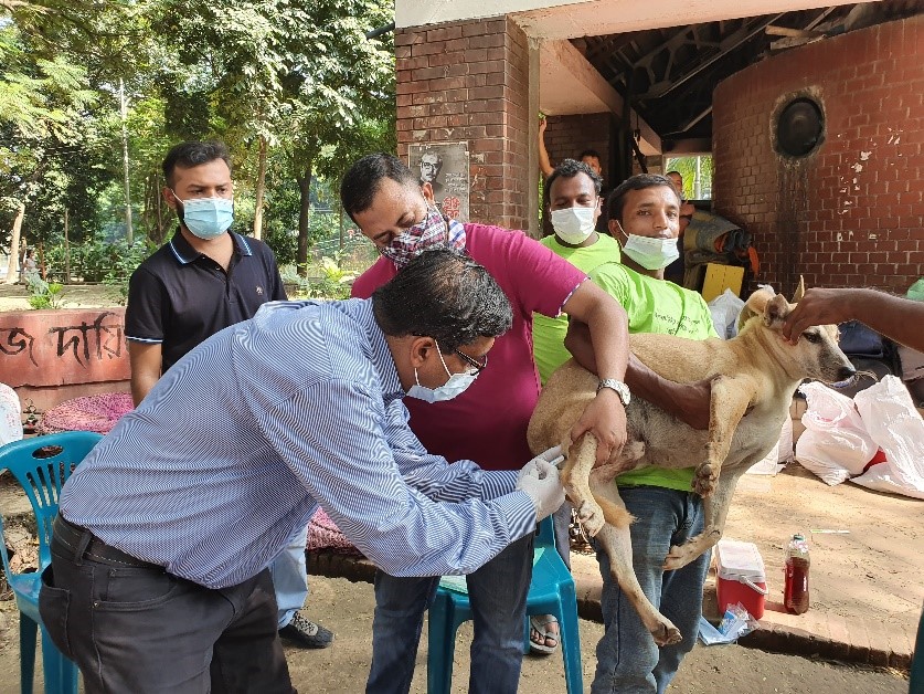 Mass Dog Vaccination Animal Control Staff Training