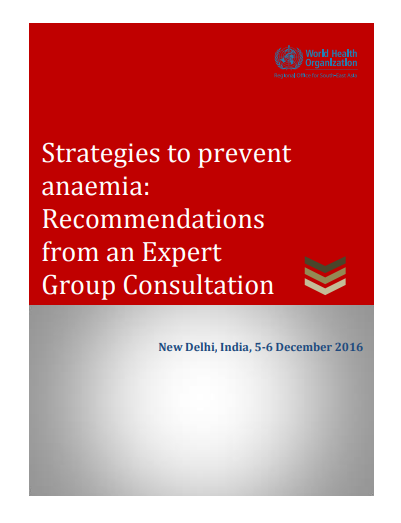 Strategies to prevent anaemia: Recommendations from an Expert Group Consultation, 2016
