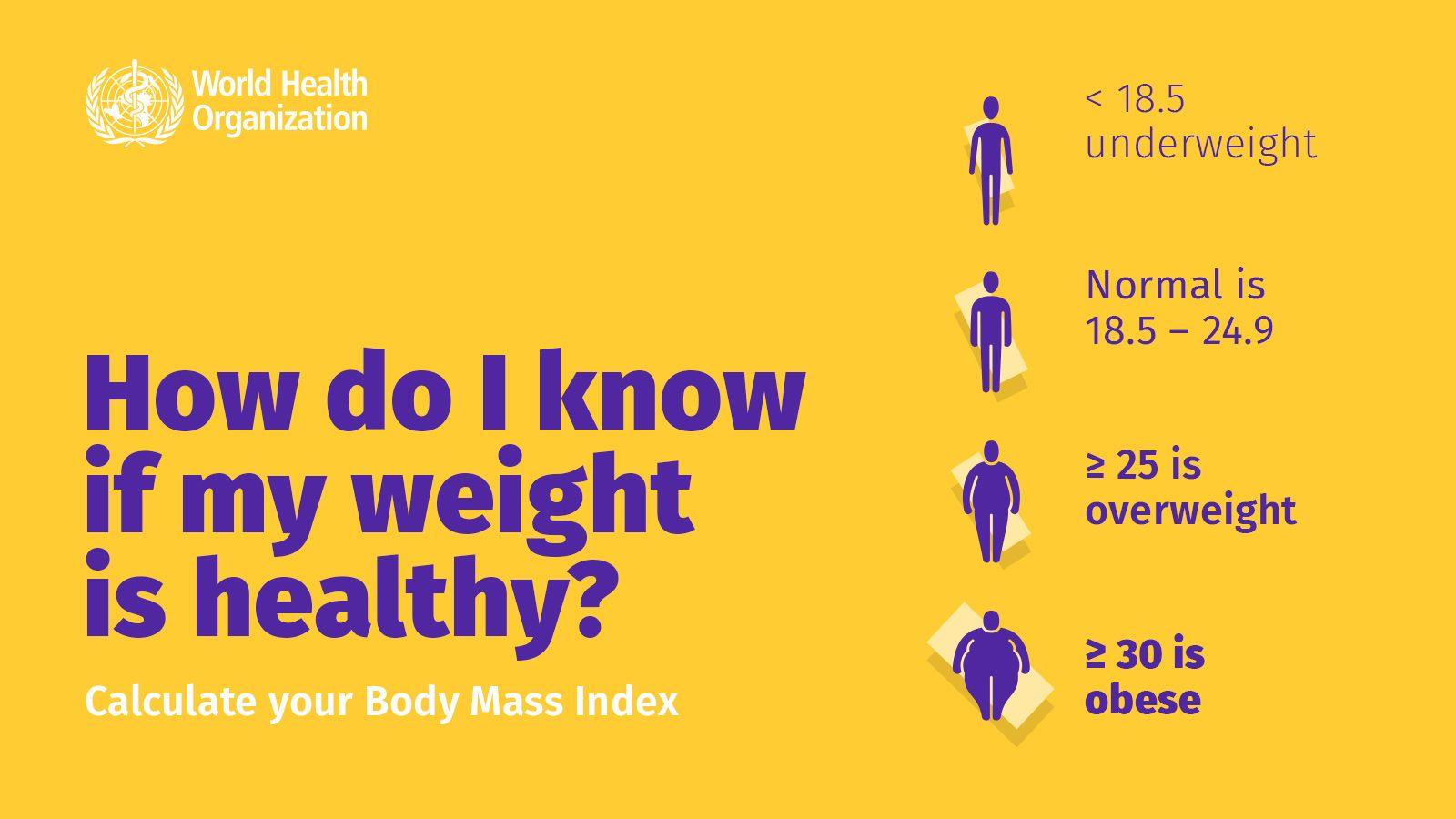 Obesity4 Obesity4
