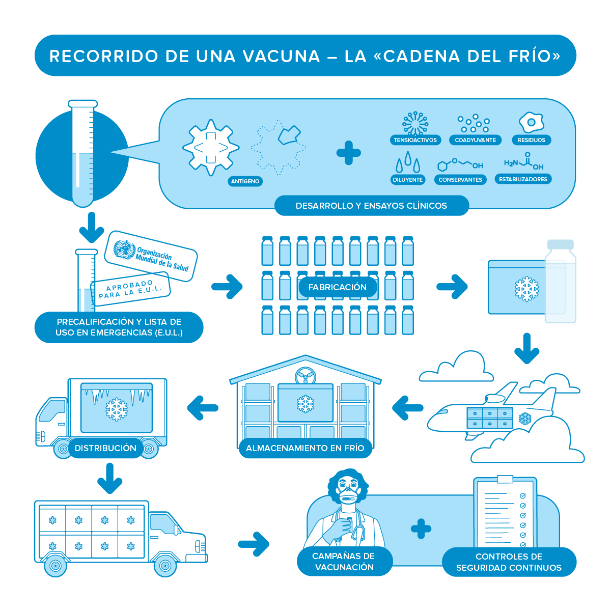 Recorrido de una vacuna - la cadena del frío