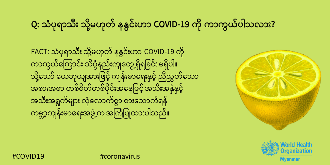 fact_mmr_28 fact_mmr_28