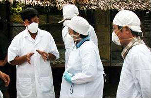 Viet Nam Government and International Partners on High Alert for Avian Influenza A (H7N9) Ahead of Lunar New Year (Tet)