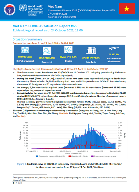 COVID-19 in Viet Nam Situation Report 65