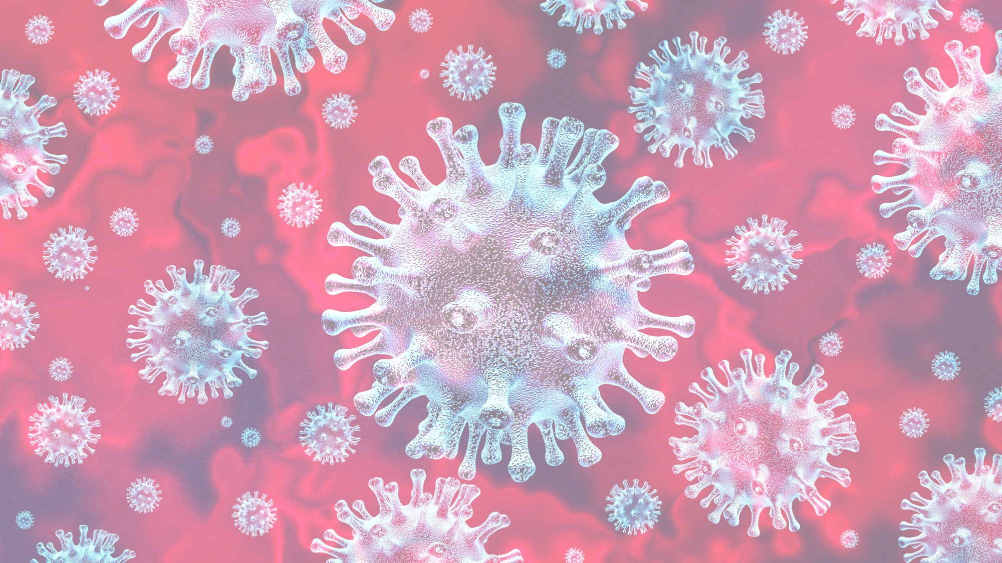 COVID virus